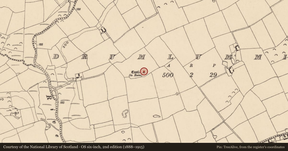 Ordnance Survey six-inch map, 2nd edition (1888–1915) covering the location of Castle - unclassified, Drumlummin, County Tipperary South, with a pin at the register's coordinates