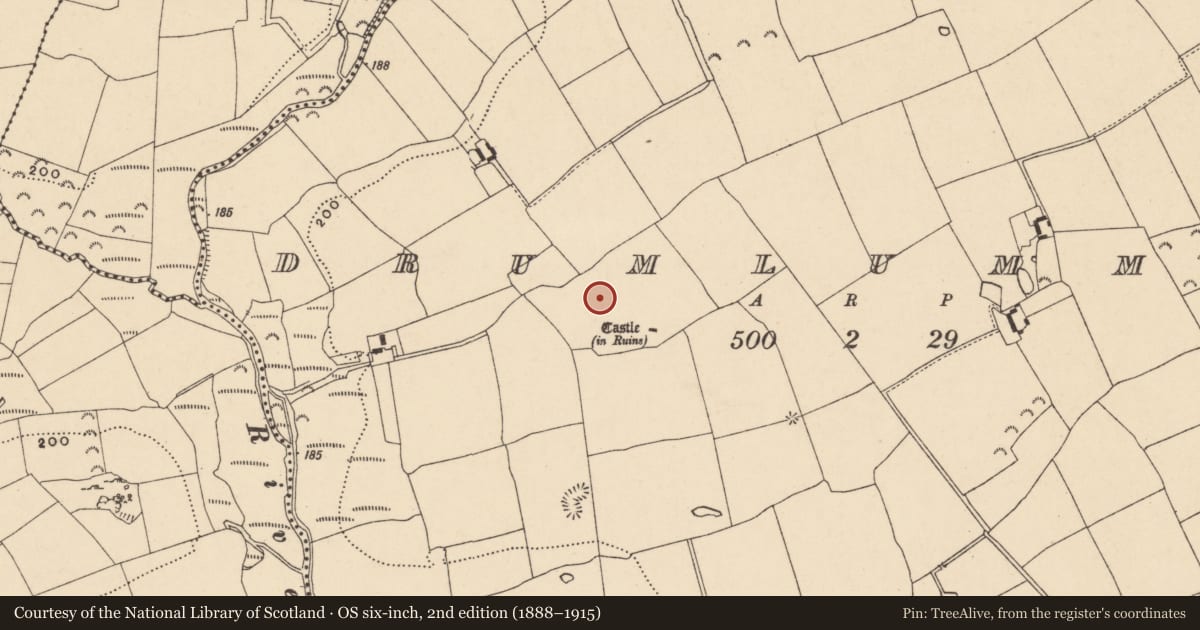 Ordnance Survey six-inch map, 2nd edition (1888–1915) covering the location of House - 17th century, Drumlummin, County Tipperary South, with a pin at the register's coordinates