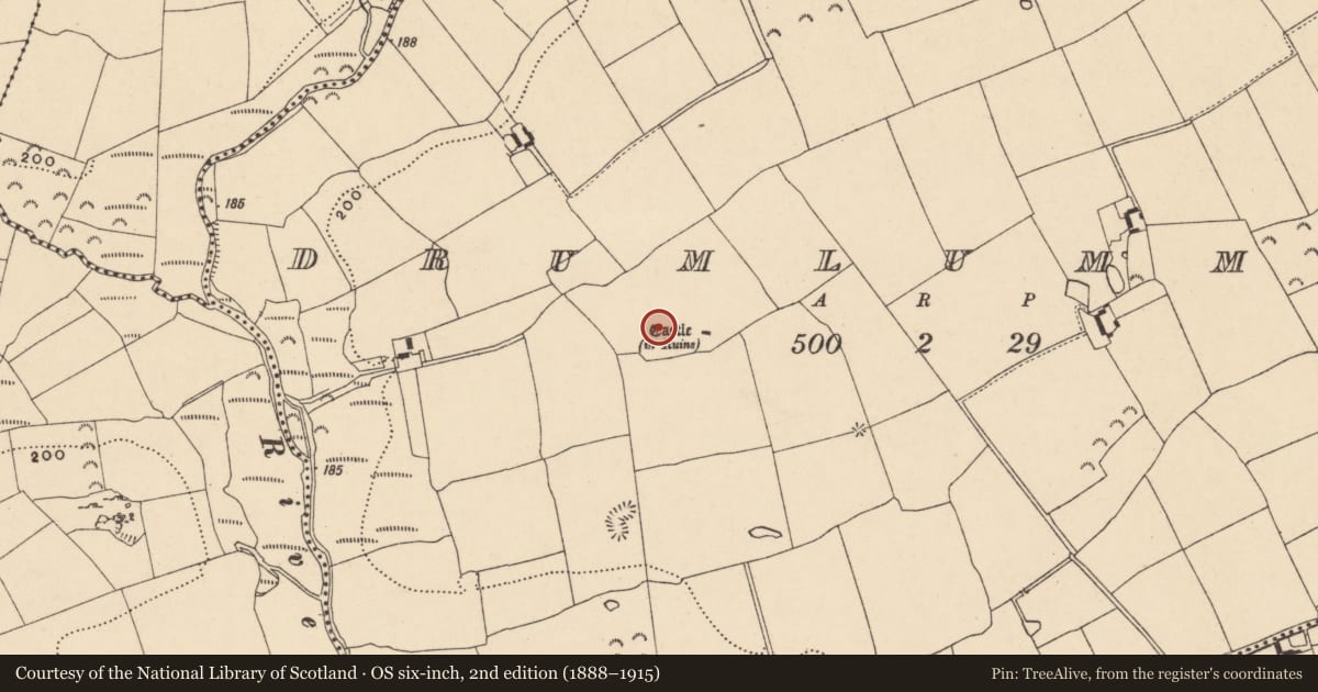 Ordnance Survey six-inch map, 2nd edition (1888–1915) covering the location of Field system, Drumlummin, County Tipperary South, with a pin at the register's coordinates