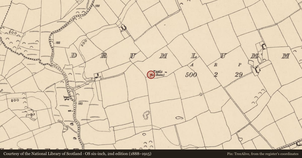 Ordnance Survey six-inch map, 2nd edition (1888–1915) covering the location of Enclosure, Drumlummin, County Tipperary South, with a pin at the register's coordinates