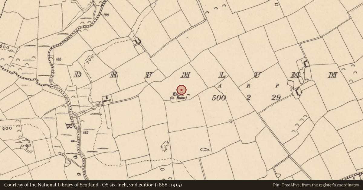 Ordnance Survey six-inch map, 2nd edition (1888–1915) covering the location of Enclosure, Drumlummin, County Tipperary South, with a pin at the register's coordinates