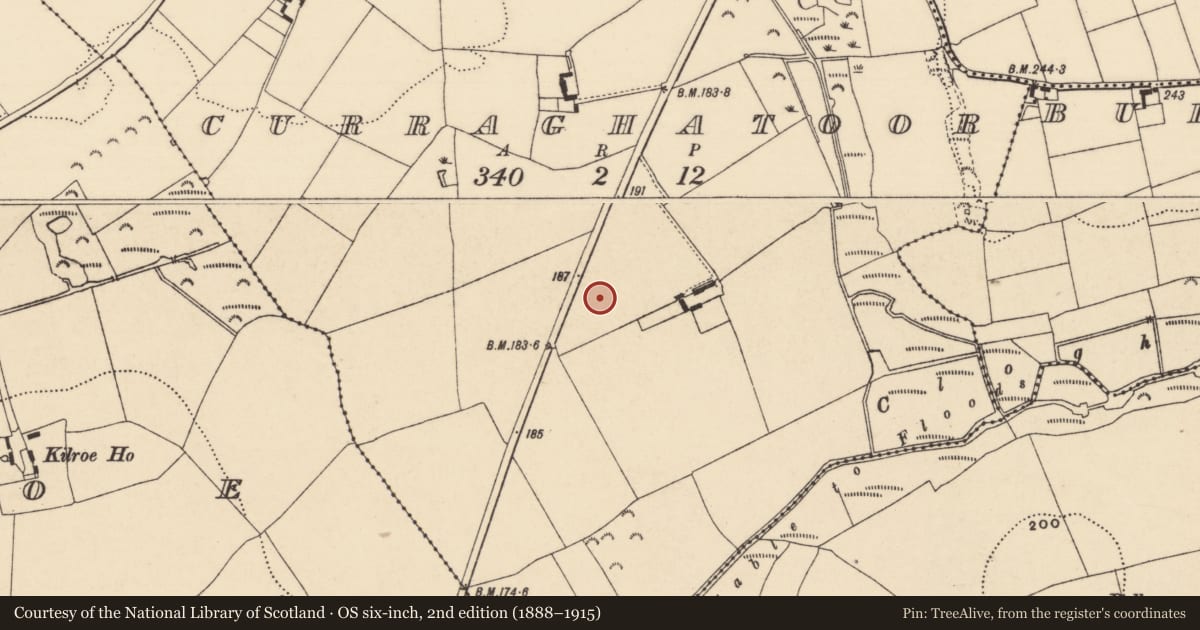 Ordnance Survey six-inch map, 2nd edition (1888–1915) covering the location of House - Bronze Age, Curraghatoor, County Tipperary South, with a pin at the register's coordinates