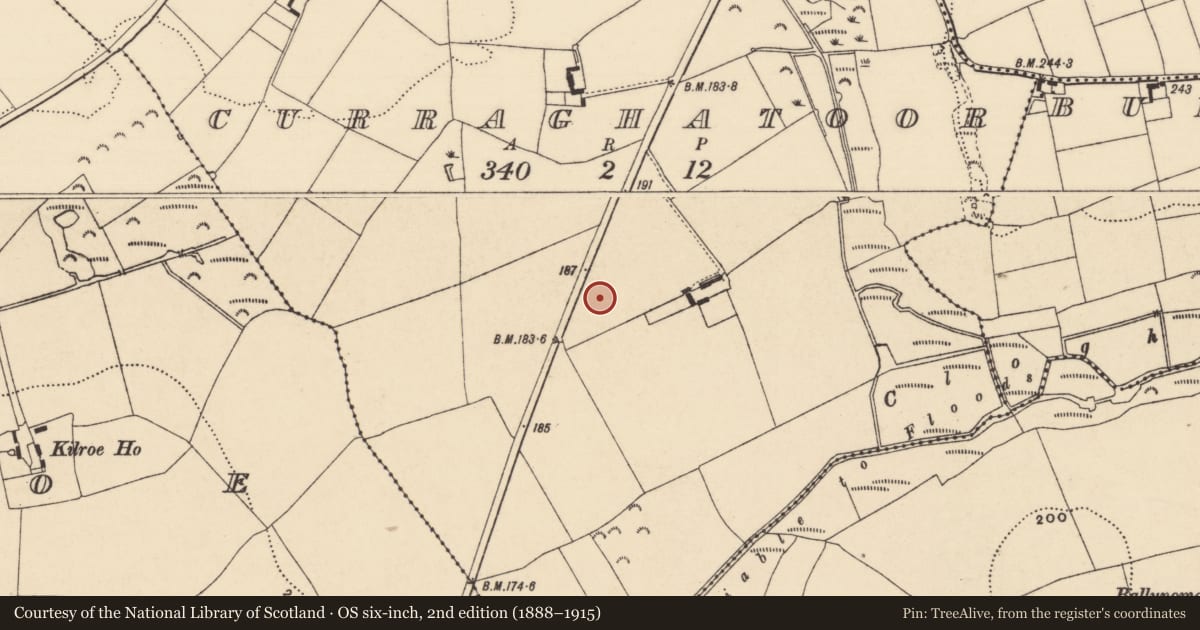 Ordnance Survey six-inch map, 2nd edition (1888–1915) covering the location of House - Bronze Age, Curraghatoor, County Tipperary South, with a pin at the register's coordinates