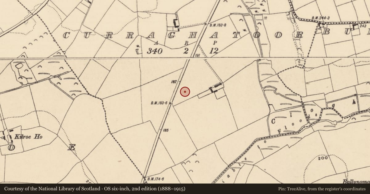 Ordnance Survey six-inch map, 2nd edition (1888–1915) covering the location of House - Bronze Age, Curraghatoor, County Tipperary South, with a pin at the register's coordinates