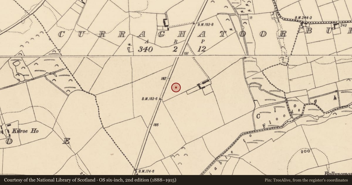Ordnance Survey six-inch map, 2nd edition (1888–1915) covering the location of House - Bronze Age, Curraghatoor, County Tipperary South, with a pin at the register's coordinates