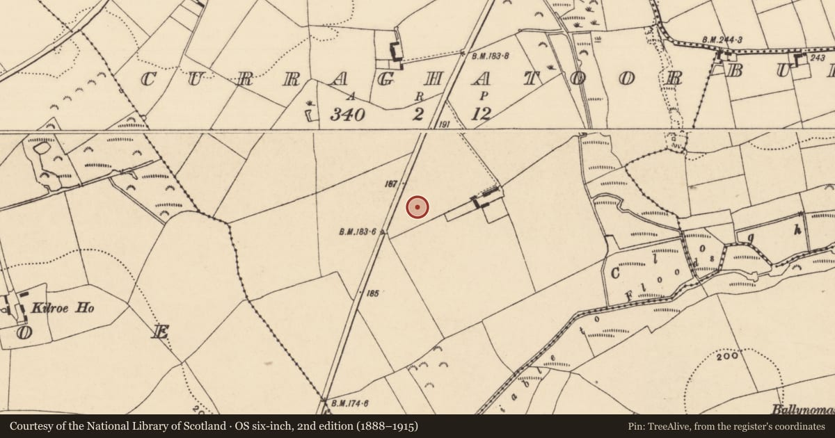 Ordnance Survey six-inch map, 2nd edition (1888–1915) covering the location of House - Neolithic, Curraghatoor, County Tipperary South, with a pin at the register's coordinates