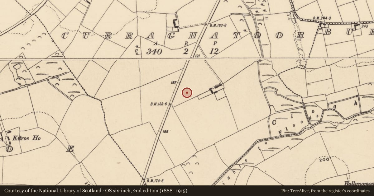 Ordnance Survey six-inch map, 2nd edition (1888–1915) covering the location of Structure, Curraghatoor, County Tipperary South, with a pin at the register's coordinates