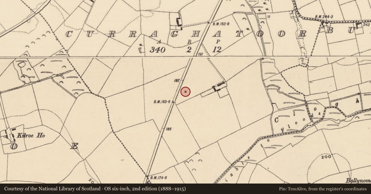 Ordnance Survey six-inch map, 2nd edition (1888–1915) covering the location of House - Bronze Age, Curraghatoor, County Tipperary South, with a pin at the register's coordinates