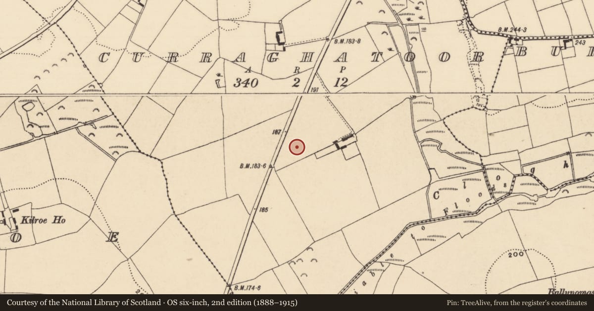 Ordnance Survey six-inch map, 2nd edition (1888–1915) covering the location of Structure, Curraghatoor, County Tipperary South, with a pin at the register's coordinates