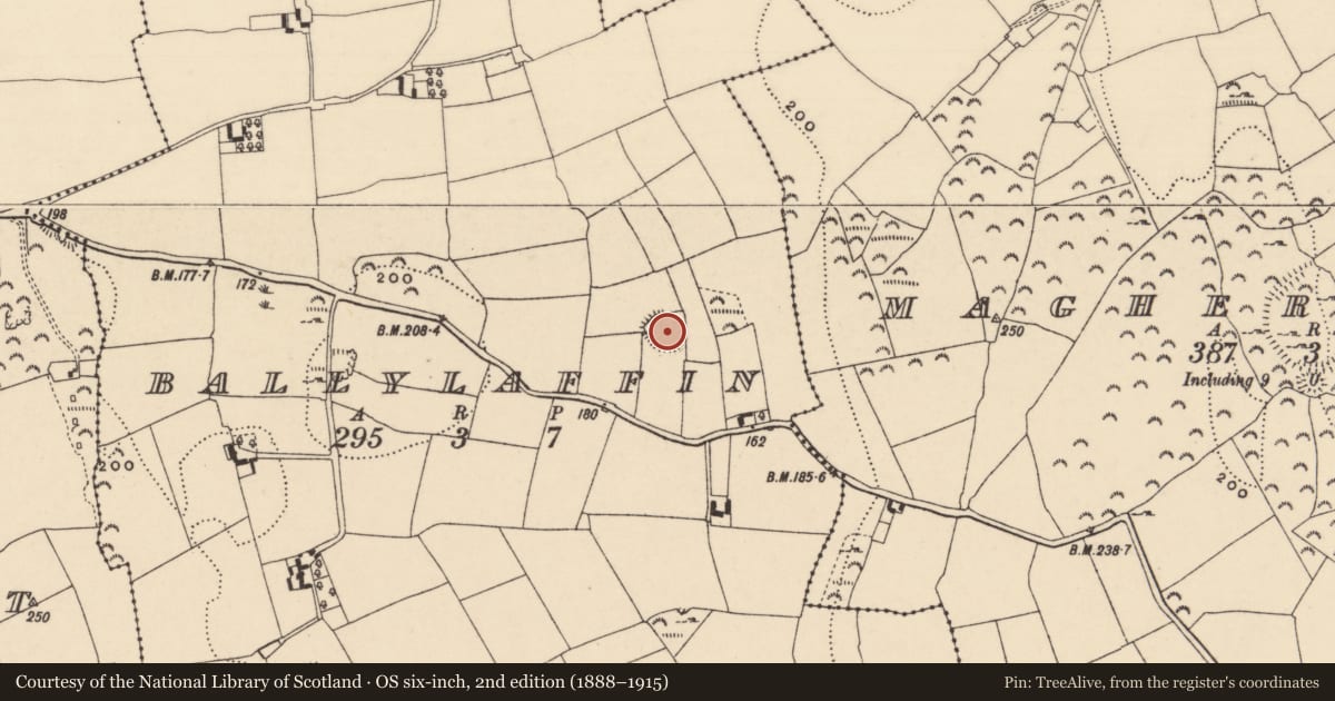 Ordnance Survey six-inch map, 2nd edition (1888–1915) covering the location of Enclosure, Ballylaffin, County Tipperary South, with a pin at the register's coordinates