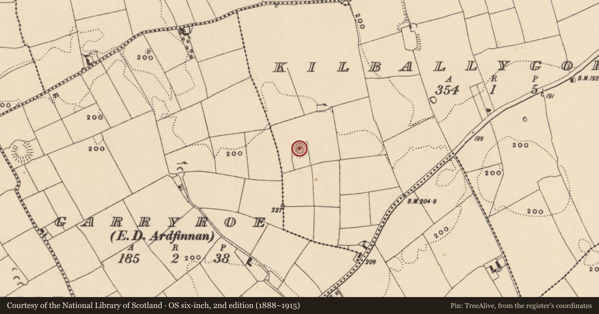 Ordnance Survey six-inch map, 2nd edition (1888–1915) covering the location of Ringfort - rath, Kilballygorman, County Tipperary South, with a pin at the register's coordinates
