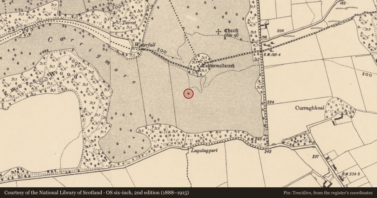 Ordnance Survey six-inch map, 2nd edition (1888–1915) covering the location of Enclosure, Carrigmore, County Tipperary South, with a pin at the register's coordinates