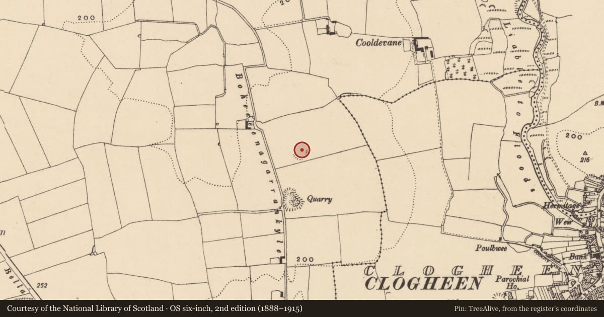 Ordnance Survey six-inch map, 2nd edition (1888–1915) covering the location of Ringfort - rath, Shanrahan, County Tipperary South, with a pin at the register's coordinates