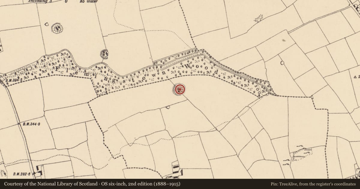 Ordnance Survey six-inch map, 2nd edition (1888–1915) covering the location of Ringfort - rath, Flemingstown (Shanrahan Par.), County Tipperary South, with a pin at the register's coordinates