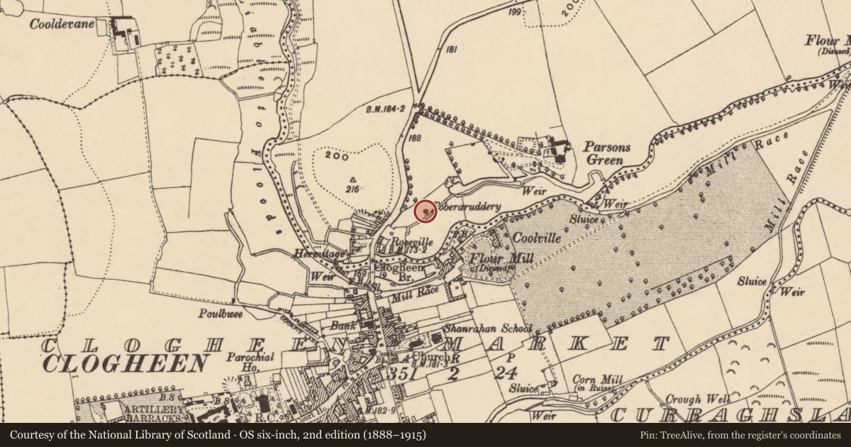 Ordnance Survey six-inch map, 2nd edition (1888–1915) covering the location of Well, Ballyboy West, County Tipperary South, with a pin at the register's coordinates