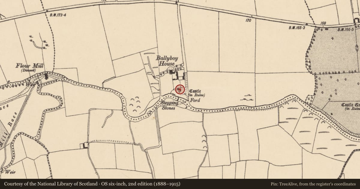 Ordnance Survey six-inch map, 2nd edition (1888–1915) covering the location of Castle - hall-house, Ballyboy East, County Tipperary South, with a pin at the register's coordinates