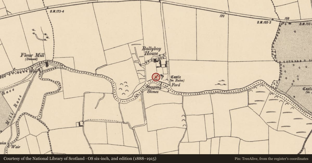 Ordnance Survey six-inch map, 2nd edition (1888–1915) covering the location of Bawn, Ballyboy East, County Tipperary South, with a pin at the register's coordinates