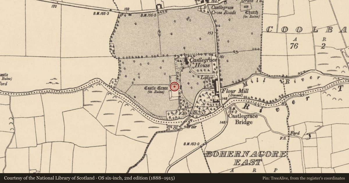Ordnance Survey six-inch map, 2nd edition (1888–1915) covering the location of Castle - Anglo-Norman masonry castle, Castlegrace, County Tipperary South, with a pin at the register's coordinates