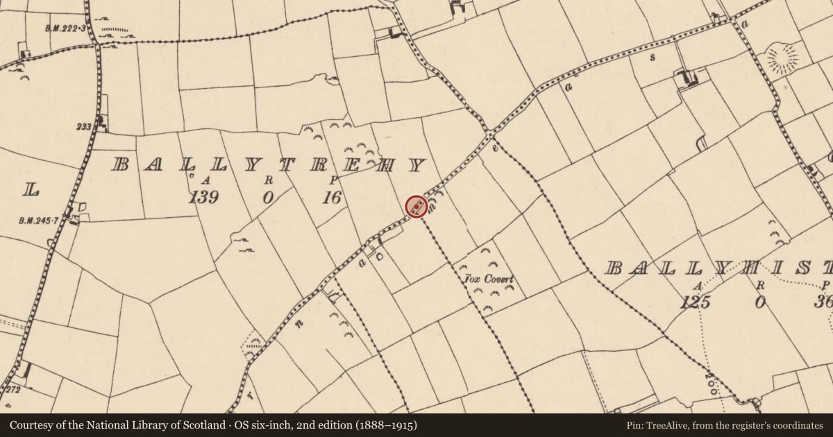Ordnance Survey six-inch map, 2nd edition (1888–1915) covering the location of Road - road/trackway, County Tipperary South, with a pin at the register's coordinates