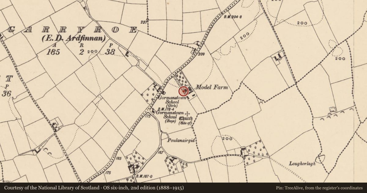Ordnance Survey six-inch map, 2nd edition (1888–1915) covering the location of Bullaun stone, Gormanstown, County Tipperary South, with a pin at the register's coordinates