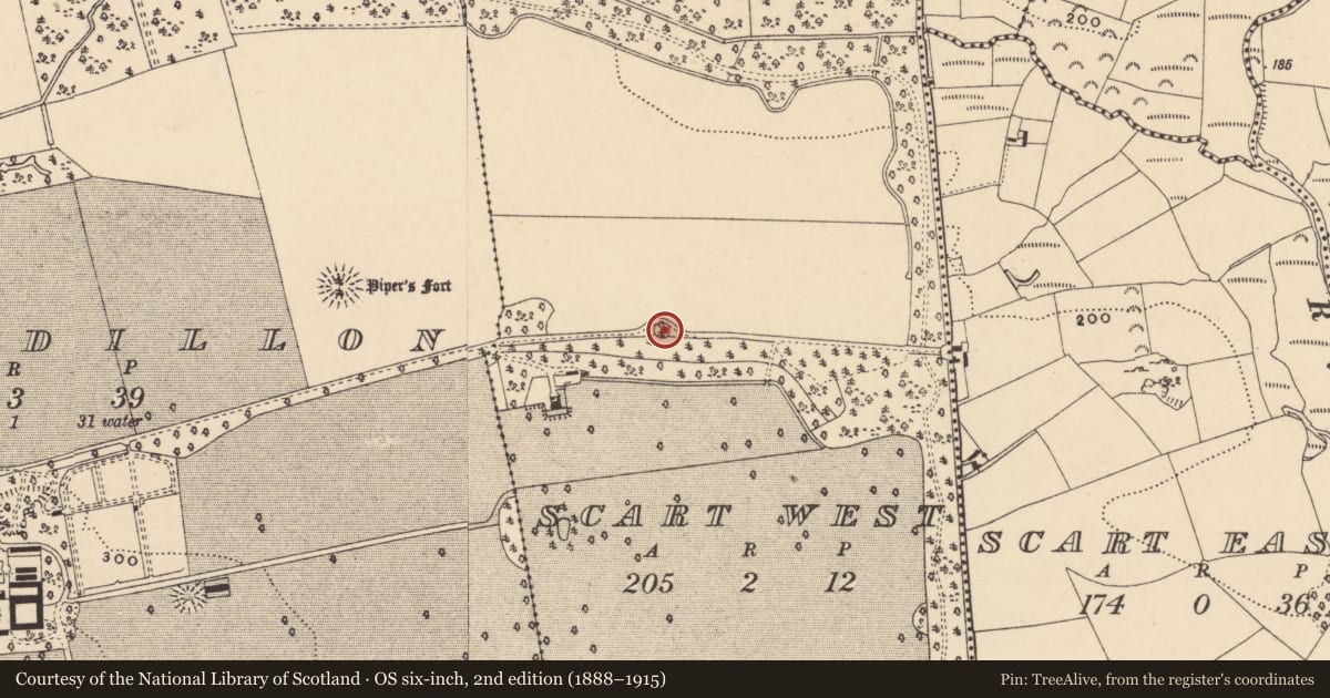 Ordnance Survey six-inch map, 2nd edition (1888–1915) covering the location of Enclosure, Scart West, County Tipperary South, with a pin at the register's coordinates