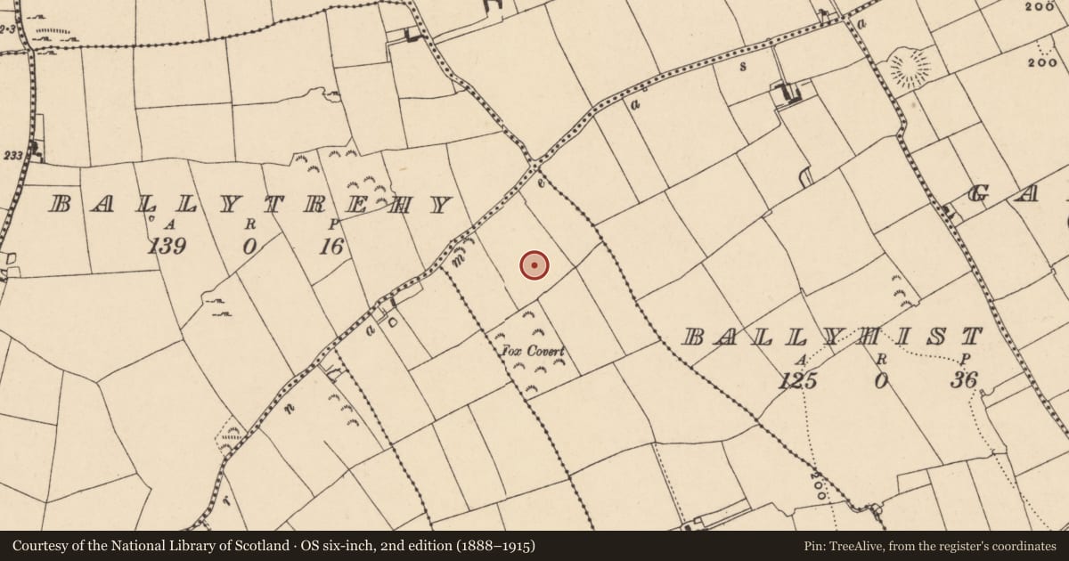Ordnance Survey six-inch map, 2nd edition (1888–1915) covering the location of Enclosure, Ballyknockane (Tullaghorton Par.), County Tipperary South, with a pin at the register's coordinates