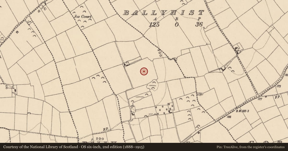 Ordnance Survey six-inch map, 2nd edition (1888–1915) covering the location of Enclosure, Ballyknockane (Tullaghorton Par.), County Tipperary South, with a pin at the register's coordinates