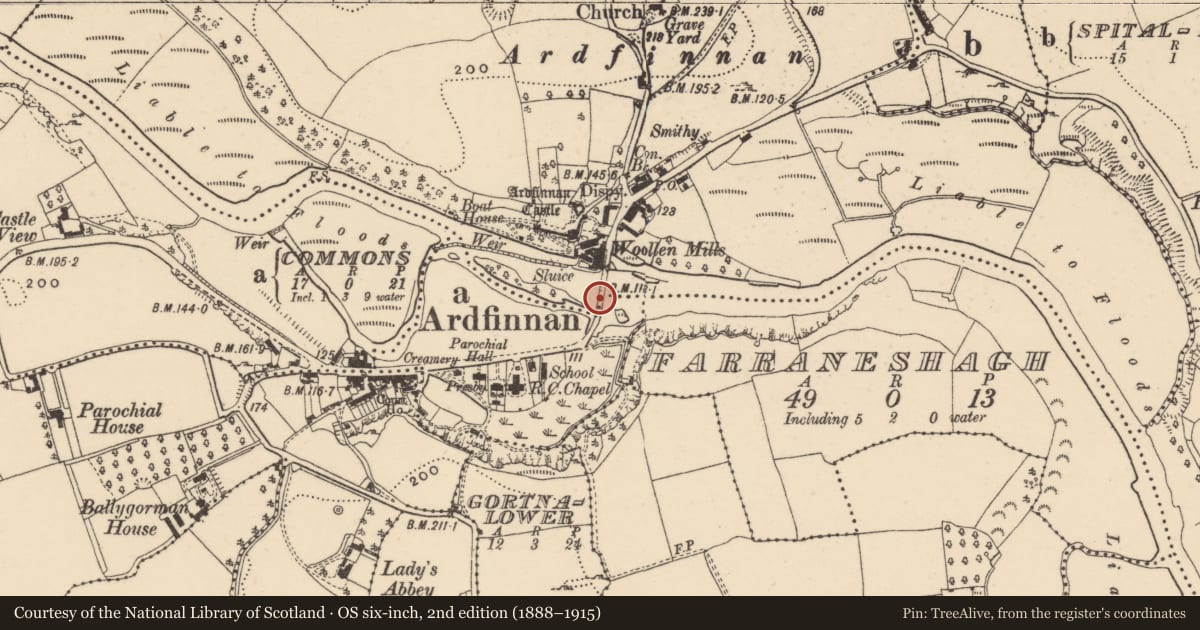 Ordnance Survey six-inch map, 2nd edition (1888–1915) covering the location of Bridge, Ardfinnan, Commons (Ardfinnan Par.), County Tipperary South, with a pin at the register's coordinates