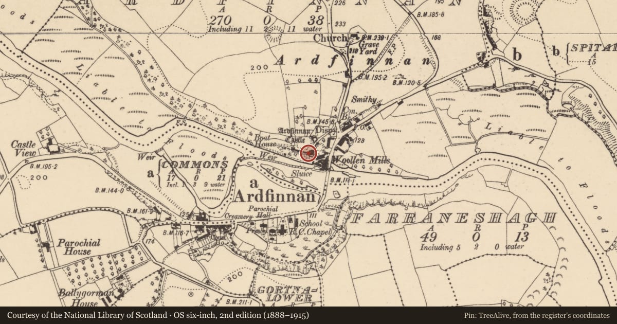 Ordnance Survey six-inch map, 2nd edition (1888–1915) covering the location of Castle - tower house, Ardfinnan, County Tipperary South, with a pin at the register's coordinates