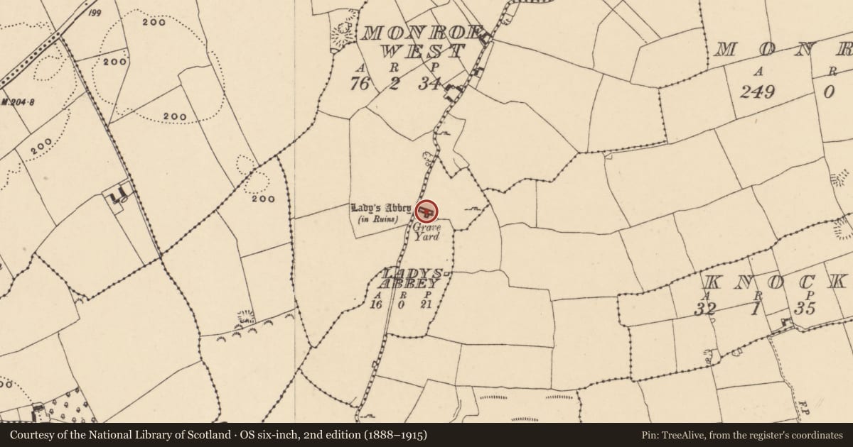 Ordnance Survey six-inch map, 2nd edition (1888–1915) covering the location of Religious house - Carmelite friars, Ladysabbey, County Tipperary South, with a pin at the register's coordinates
