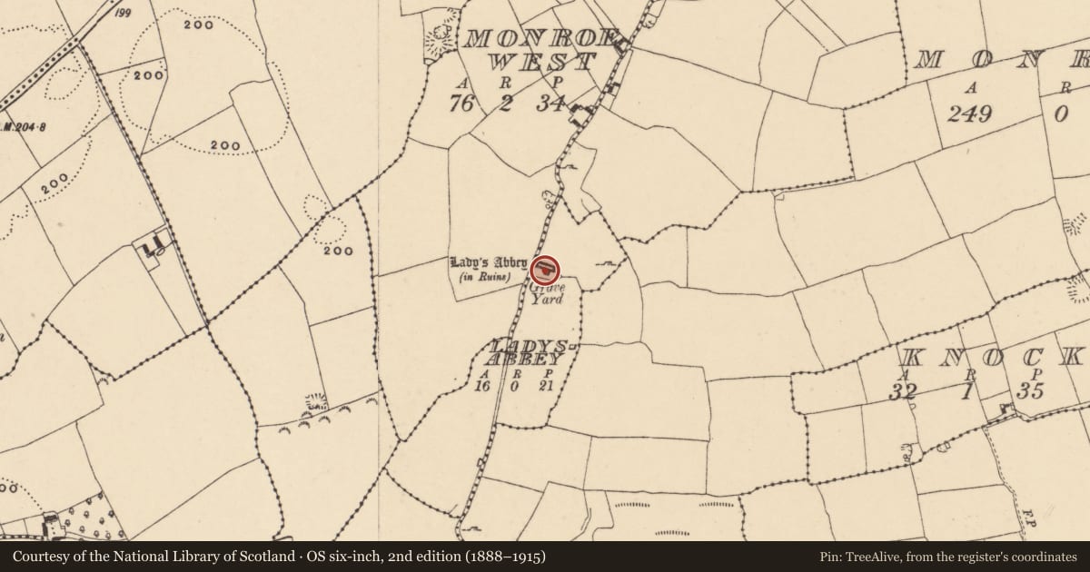 Ordnance Survey six-inch map, 2nd edition (1888–1915) covering the location of Graveyard, Ladysabbey, County Tipperary South, with a pin at the register's coordinates