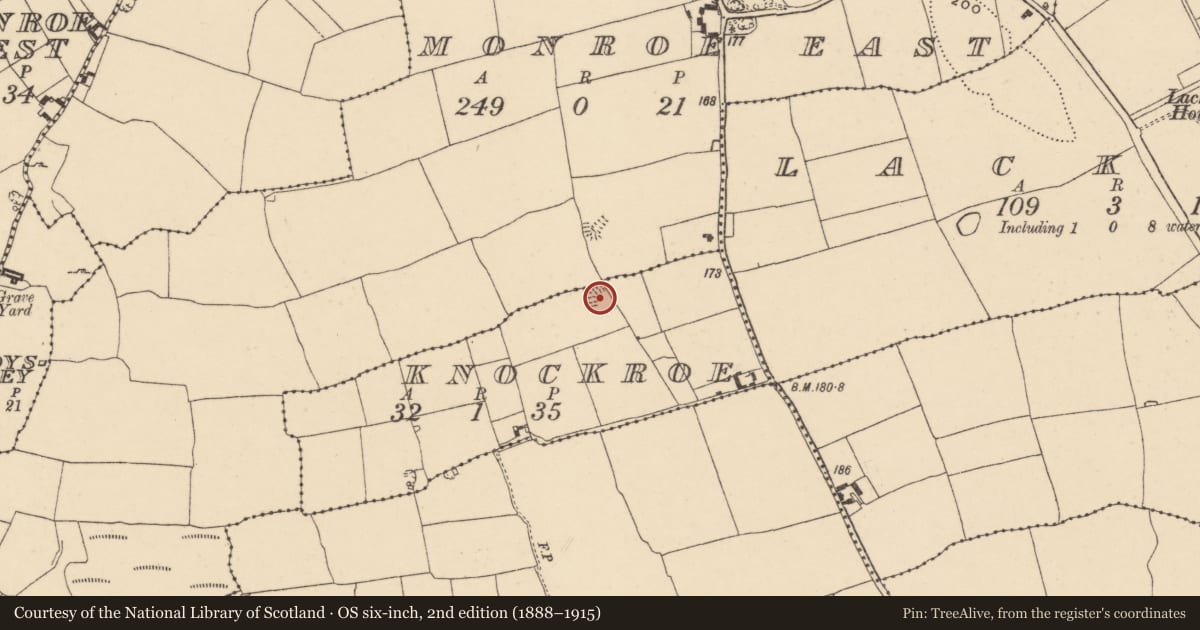 Ordnance Survey six-inch map, 2nd edition (1888–1915) covering the location of Ringfort - rath, Knockroe (Neddans Par.), County Tipperary South, with a pin at the register's coordinates