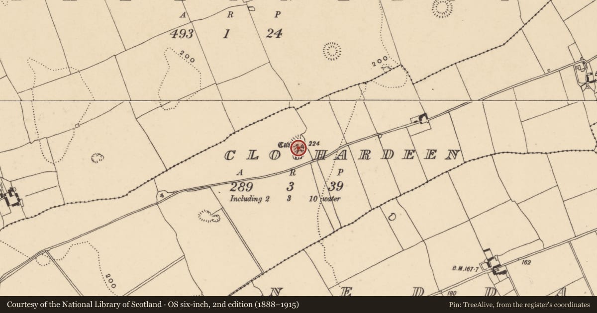 Ordnance Survey six-inch map, 2nd edition (1888–1915) covering the location of Souterrain, Cloghardeen (Neddans Par.), County Tipperary South, with a pin at the register's coordinates