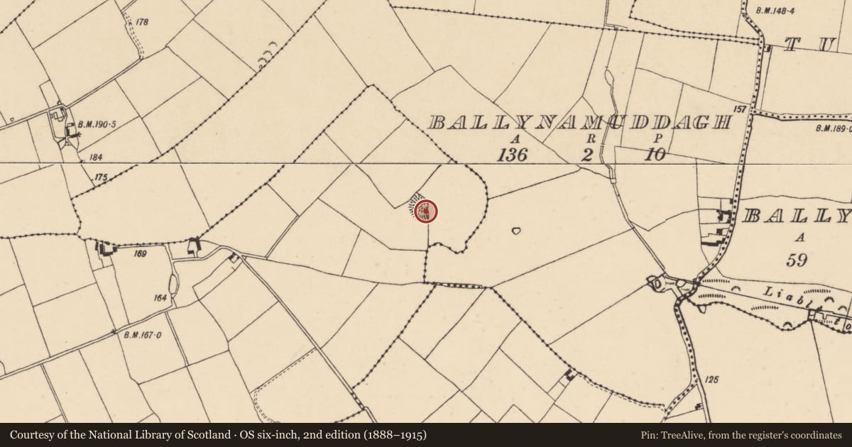 Ordnance Survey six-inch map, 2nd edition (1888–1915) covering the location of Ringfort - rath, Neddans (Nagle), County Tipperary South, with a pin at the register's coordinates