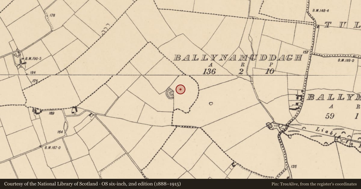 Ordnance Survey six-inch map, 2nd edition (1888–1915) covering the location of Souterrain, Neddans (Nagle), County Tipperary South, with a pin at the register's coordinates