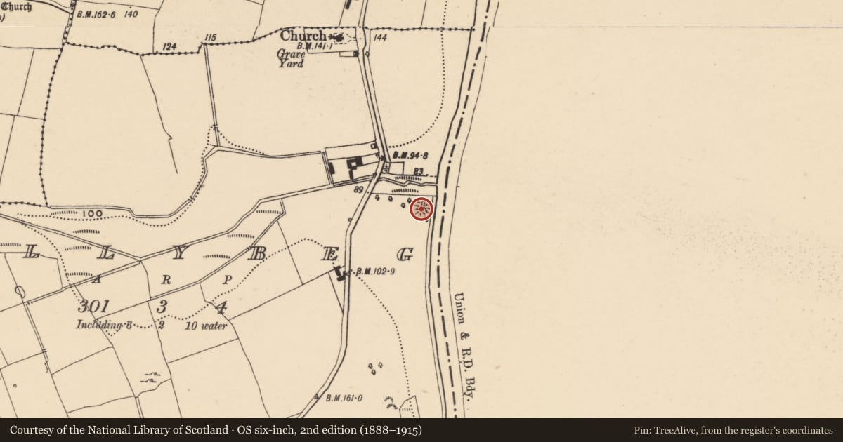 Ordnance Survey six-inch map, 2nd edition (1888–1915) covering the location of Enclosure, Ballybeg (Tullaghmelan Par.), County Tipperary South, with a pin at the register's coordinates