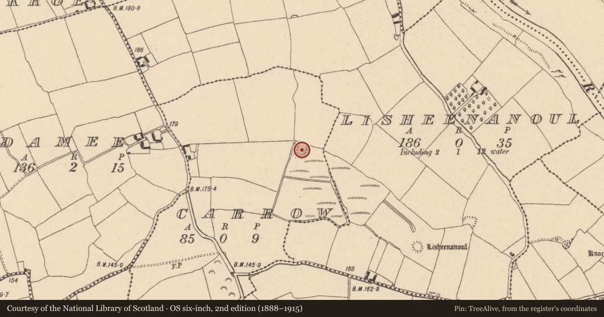 Ordnance Survey six-inch map, 2nd edition (1888–1915) covering the location of Enclosure, Carrow (Ballybacon Par.), County Tipperary South, with a pin at the register's coordinates