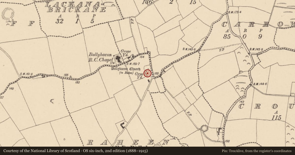Ordnance Survey six-inch map, 2nd edition (1888–1915) covering the location of Cross-slab, Raheen (Ballybacon Par.), County Tipperary South, with a pin at the register's coordinates