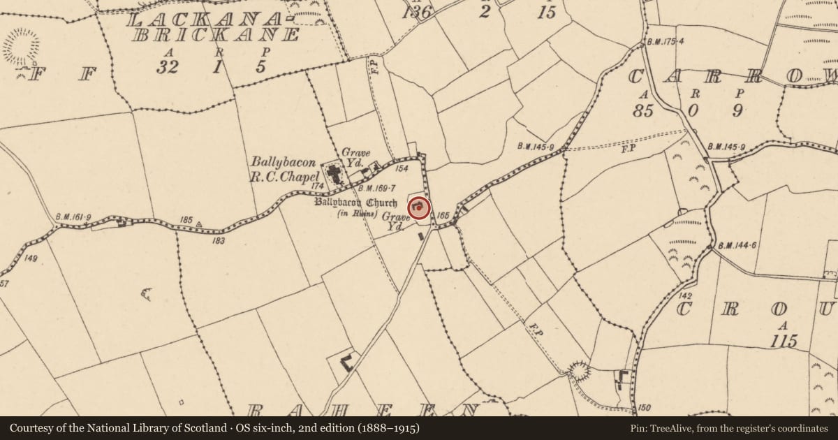 Ordnance Survey six-inch map, 2nd edition (1888–1915) covering the location of Graveyard, Raheen (Ballybacon Par.), County Tipperary South, with a pin at the register's coordinates