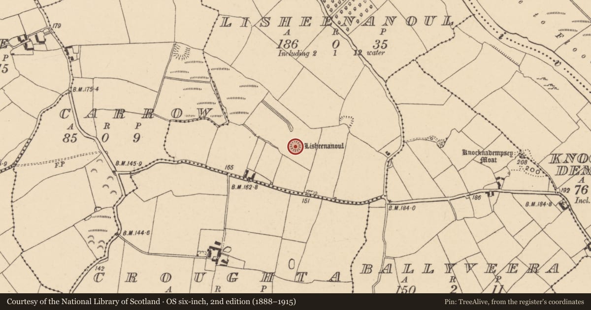 Ordnance Survey six-inch map, 2nd edition (1888–1915) covering the location of Ringfort - rath, Lisheenanoul, County Tipperary South, with a pin at the register's coordinates