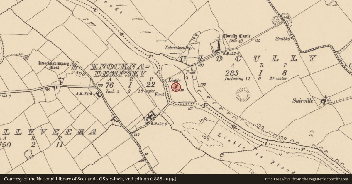 Ordnance Survey six-inch map, 2nd edition (1888–1915) covering the location of Bawn, Clocully, County Tipperary South, with a pin at the register's coordinates