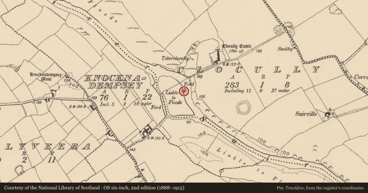Ordnance Survey six-inch map, 2nd edition (1888–1915) covering the location of Mill - unclassified, Clocully, County Tipperary South, with a pin at the register's coordinates
