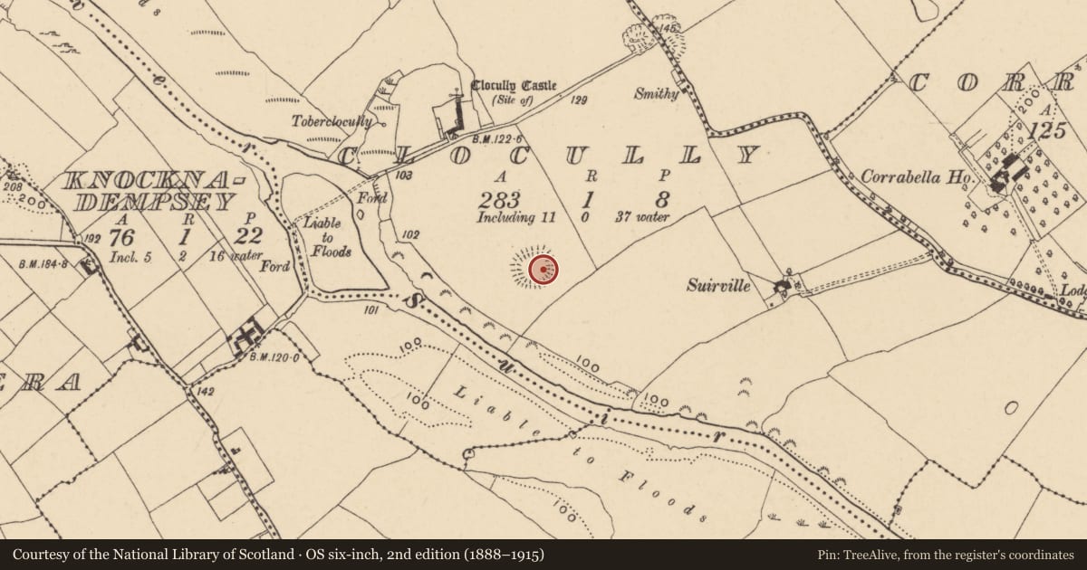 Ordnance Survey six-inch map, 2nd edition (1888–1915) covering the location of Enclosure, Clocully, County Tipperary South, with a pin at the register's coordinates