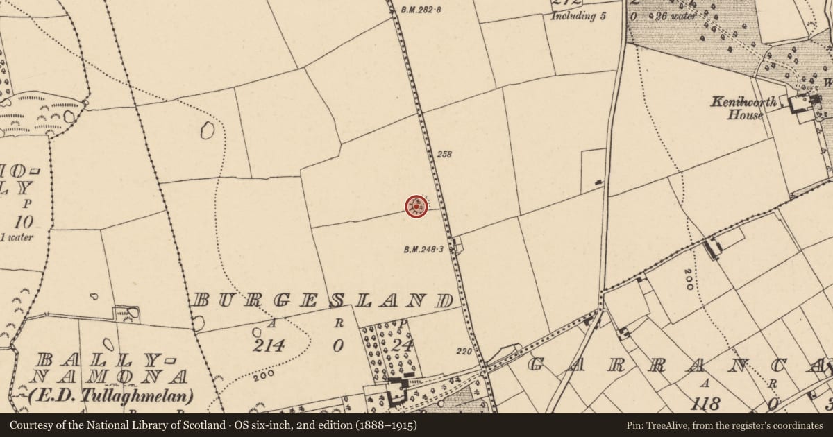 Ordnance Survey six-inch map, 2nd edition (1888–1915) covering the location of Enclosure, Burgesland, County Tipperary South, with a pin at the register's coordinates