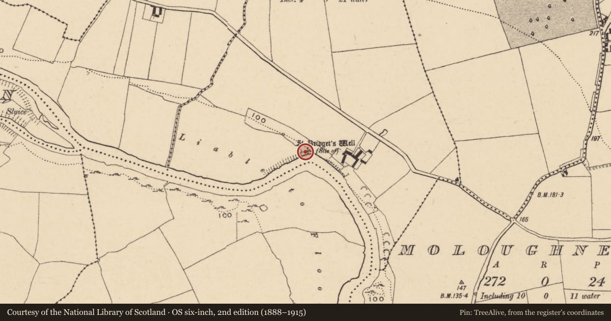 Ordnance Survey six-inch map, 2nd edition (1888–1915) covering the location of Ritual site - holy well, Ballynamona (Molough Par.), County Tipperary South, with a pin at the register's coordinates