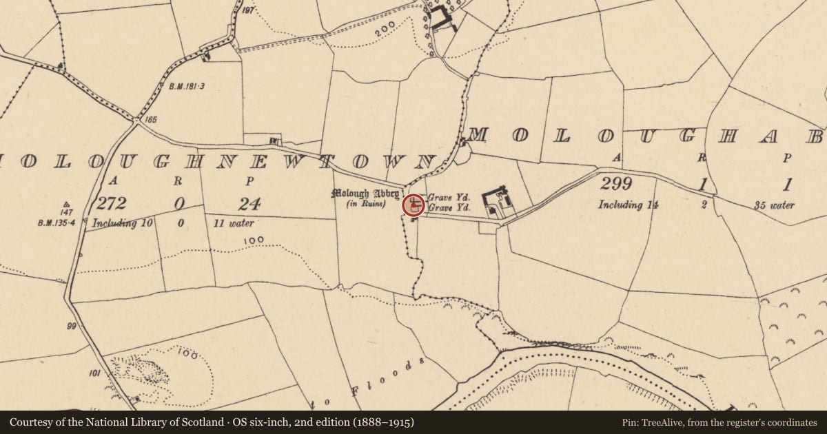 Ordnance Survey six-inch map, 2nd edition (1888–1915) covering the location of Religious house - Augustinian nuns, Moloughabbey, County Tipperary South, with a pin at the register's coordinates