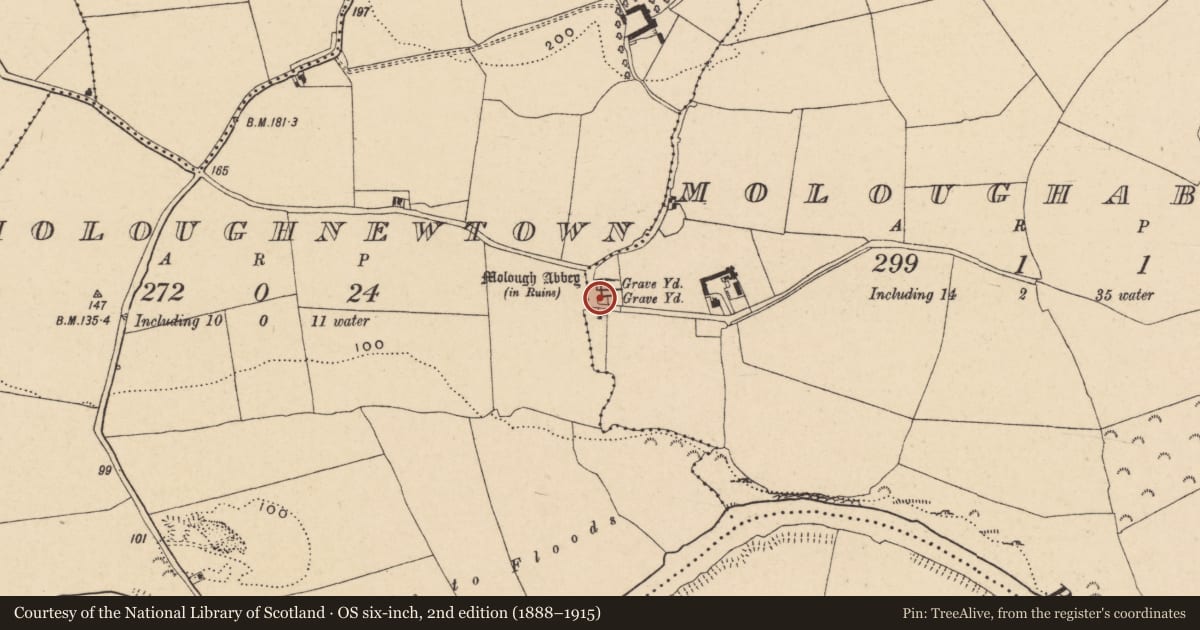 Ordnance Survey six-inch map, 2nd edition (1888–1915) covering the location of Font, Moloughabbey, County Tipperary South, with a pin at the register's coordinates