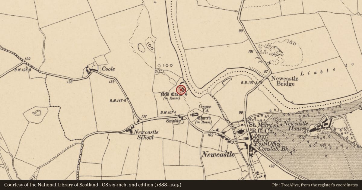 Ordnance Survey six-inch map, 2nd edition (1888–1915) covering the location of Castle - tower house, Middlequarter (Newcastle Par.), County Tipperary South, with a pin at the register's coordinates