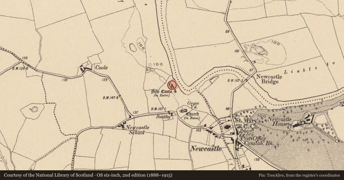 Ordnance Survey six-inch map, 2nd edition (1888–1915) covering the location of Bawn, Middlequarter (Newcastle Par.), County Tipperary South, with a pin at the register's coordinates