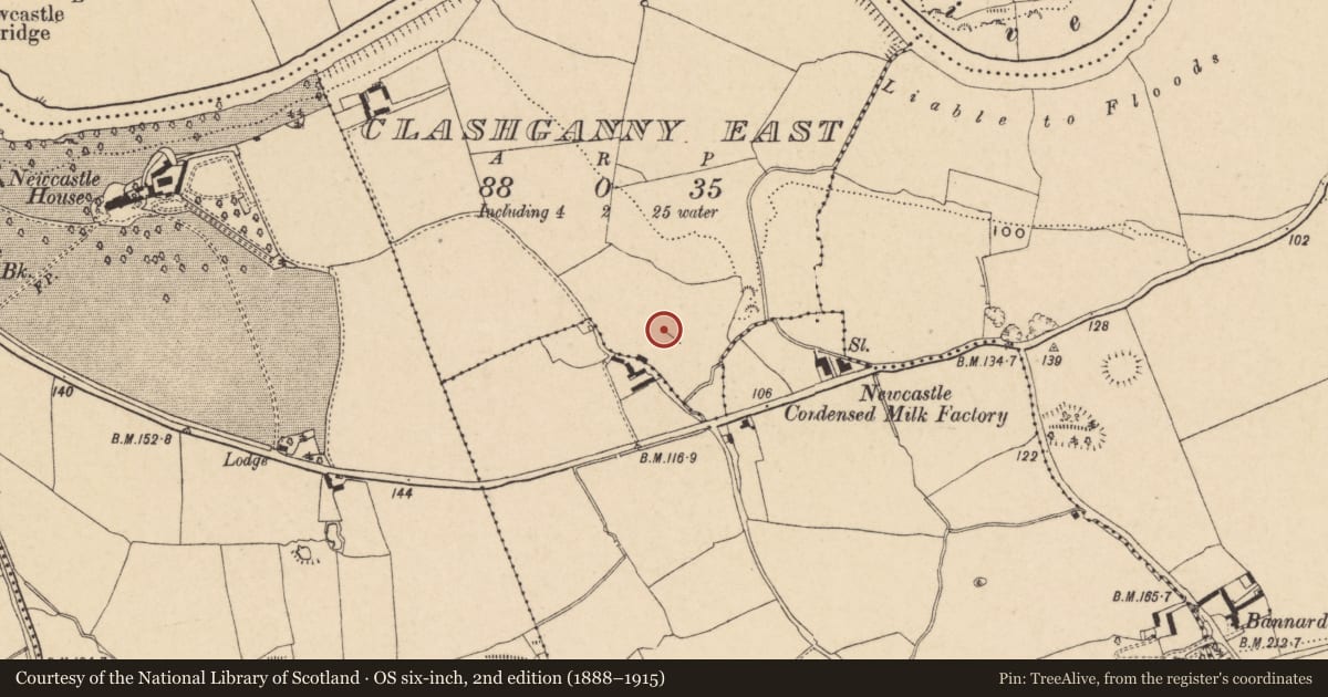 Ordnance Survey six-inch map, 2nd edition (1888–1915) covering the location of Church, Clashganny East, County Tipperary South, with a pin at the register's coordinates